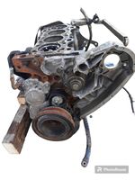 Iveco Daily 5th gen Bloc moteur F1AE3481B