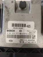 KIA Sorento Sterownik / Moduł ECU 391144A450