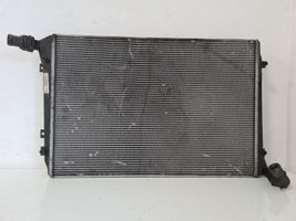 Volkswagen PASSAT B6 Radiatore di raffreddamento 3C0121253