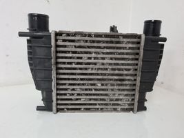 Renault Clio III Radiatore intercooler 880590X