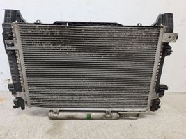 Mercedes-Benz A W169 Wasserkühler Kühlerdpaket A1695001254