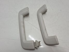 Ford Focus Rear interior roof grab handle 