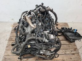 Ford Focus Engine 