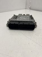 Hyundai Santa Fe Sterownik / Moduł ECU 391012F300