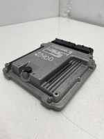 Hyundai Santa Fe Sterownik / Moduł ECU 391012F300