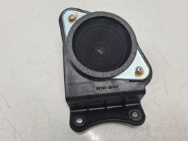 Hyundai Santa Fe Altoparlante portiera anteriore 963902W000