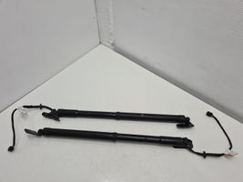 Hyundai Santa Fe Tailgate/trunk strut/damper 817712W600