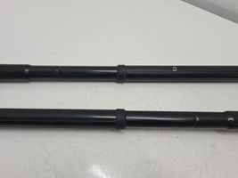 Hyundai Santa Fe Tailgate/trunk strut/damper 817712W600