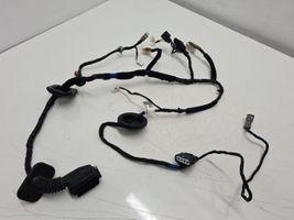 Hyundai Santa Fe Cableado de puerta delantera 916102W630