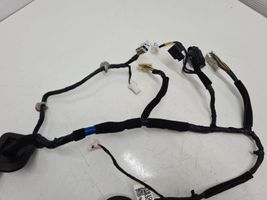 Hyundai Santa Fe Cableado de puerta delantera 916102W630