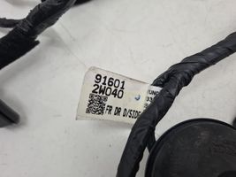 Hyundai Santa Fe Cableado de puerta delantera 916012W040