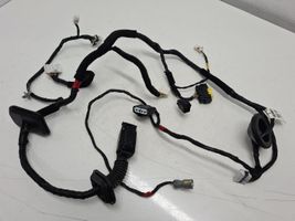 Hyundai Santa Fe Cableado de puerta delantera 916012W040