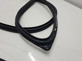 Hyundai Santa Fe Rubber seal front door (on door) 