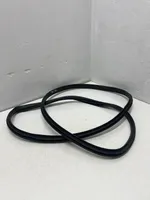 Hyundai i20 (GB IB) Rear door rubber seal (on body) 