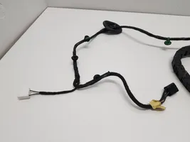 Ford Transit -  Tourneo Connect Sliding door wiring loom DT1114G218AB