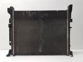 Renault Kangoo II Coolant radiator 8200455801