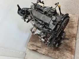 Ford Focus Engine T1DB