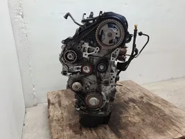 Ford Focus Engine T1DB