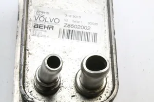 Volvo V40 Radiatore dell’olio trasmissione/cambio 31319313