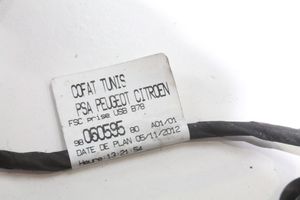 Citroen C4 Grand Picasso Câble adaptateur AUX 9806059580