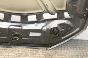 Audi Q3 8U Engine bonnet/hood 