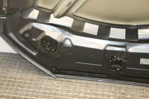 Audi Q3 8U Engine bonnet/hood 