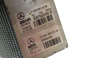 Mercedes-Benz CLC CL203 Radiatore riscaldamento abitacolo A2098300258