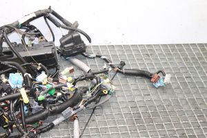 Honda S2000 Bremžu elektrības vadi 