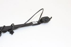 Ford Grand C-MAX Front seatbelt buckle AM51R61208BAW