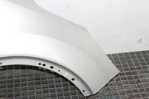 Ford Kuga II Fender 