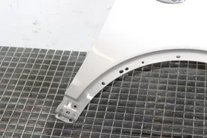 Ford Kuga II Fender 