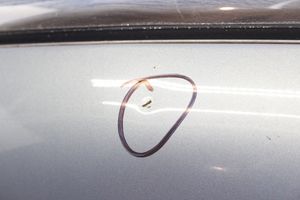 Opel Antara Pokrywa przednia / Maska silnika 