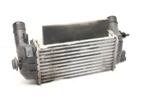 Ford Ecosport Chłodnica powietrza doładowującego / Intercooler 