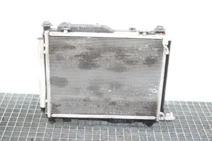 Ford Ecosport Set del radiatore H1BG8005CC