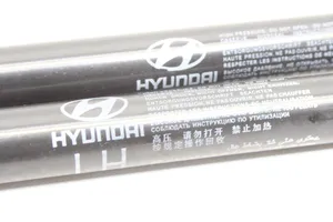 Hyundai ix35 Spyruoklė (-ės) galinio dangčio 817702Y000