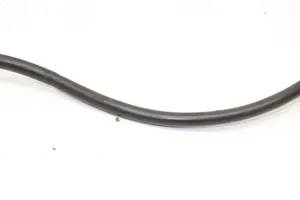 Ford Focus Negative earth cable (battery) JX6T10C679CB