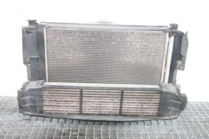 Infiniti Q30 Set del radiatore A2049061403
