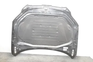 Audi Q7 4L Engine bonnet/hood 