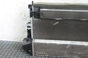 Ford Kuga II Radiator set 