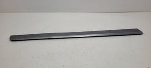 Audi A4 S4 B7 8E 8H Rivestimento della portiera anteriore (modanatura) 8E0853959E