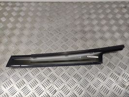 Renault Scenic III -  Grand scenic III Front door glass trim molding 802850022R