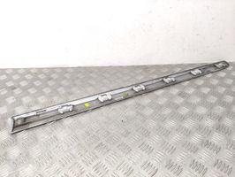 Mercedes-Benz B W245 Front door trim (molding) A1696983562