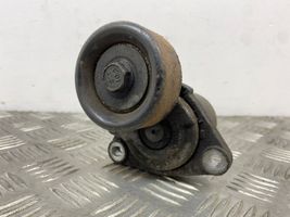 Hyundai Santa Fe Alternator belt tensioner 