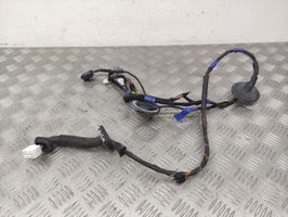 Hyundai Santa Fe Rear door wiring loom 916602B010