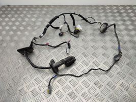 Hyundai Santa Fe Cableado de puerta delantera 916102W610