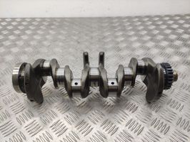 Volkswagen PASSAT B8 Crankshaft 04LB