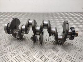 Volkswagen PASSAT B8 Crankshaft 04LB