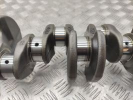 Volkswagen PASSAT B8 Crankshaft 04LB