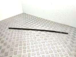 Seat Exeo (3R) Rivestimento modanatura del vetro della portiera posteriore 