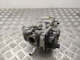 Seat Exeo (3R) EGR-venttiili/lauhdutin V29009967